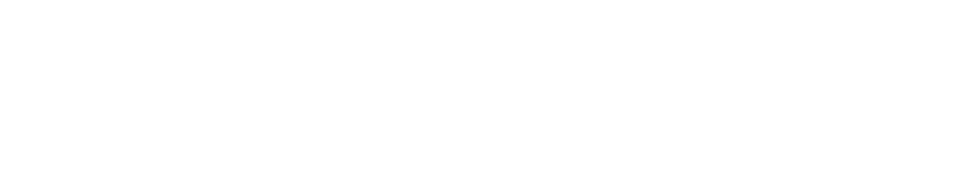 WebWibe Logo